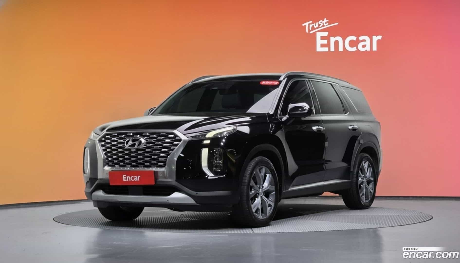 Palisade Hyundai 2019.4-DIAG2-001