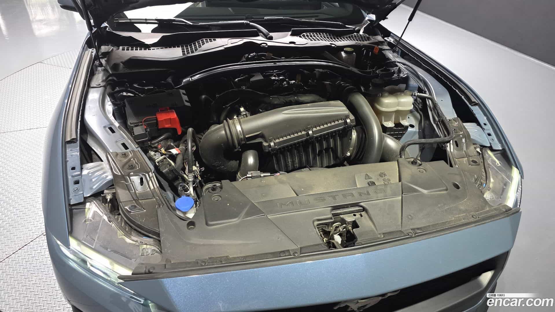 Mustang Ford 2024.1-OUTER-006