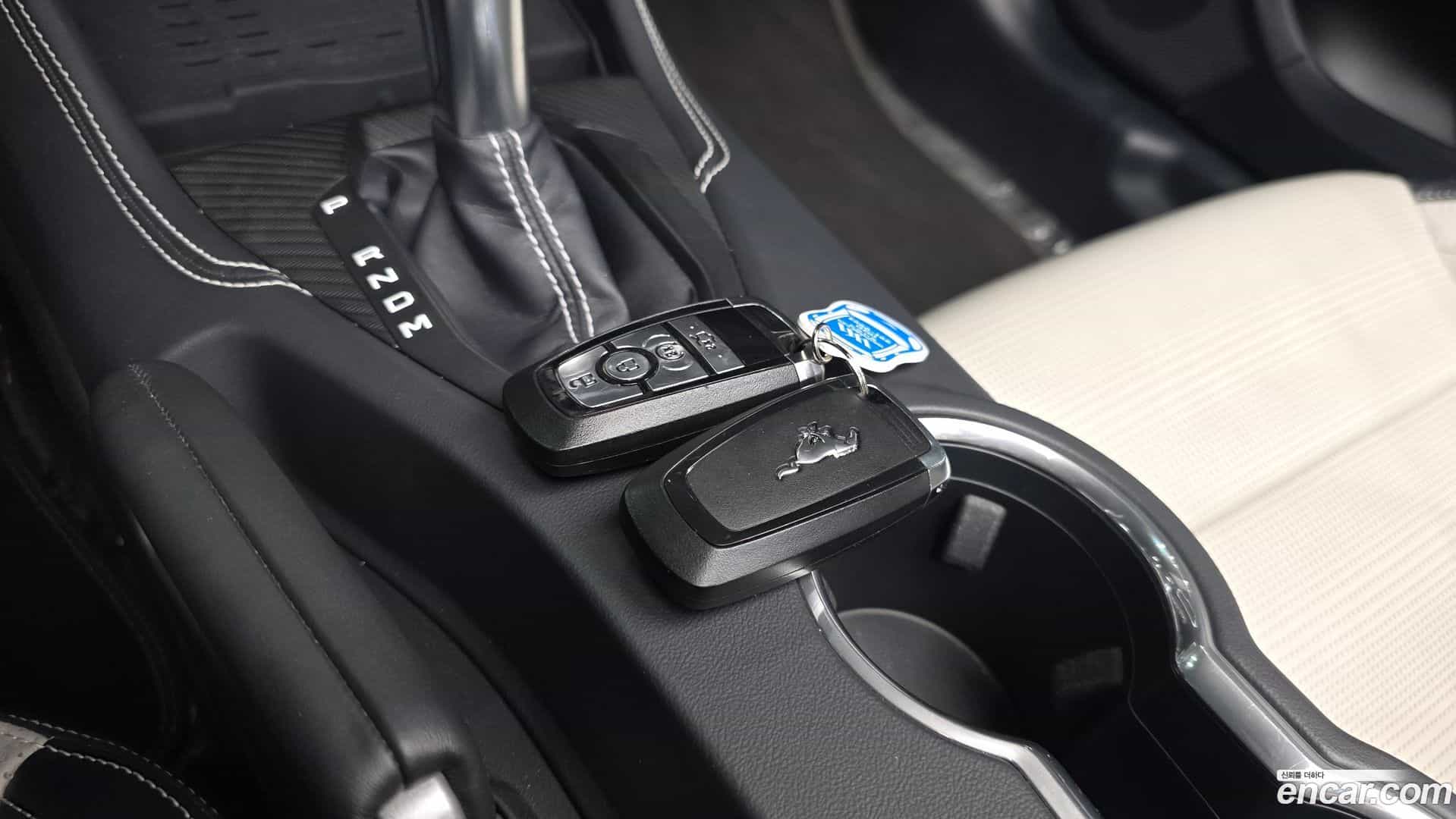 Mustang Ford 2024.1-OPTION-023