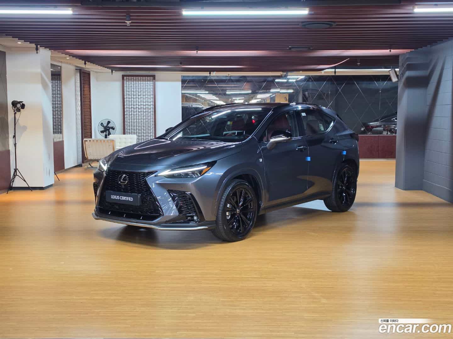 NX Lexus 2025.5-OUTER-001