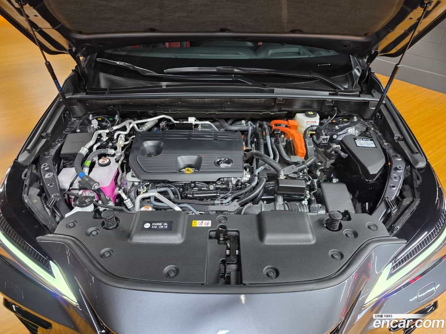 NX Lexus 2025.5-OUTER-006