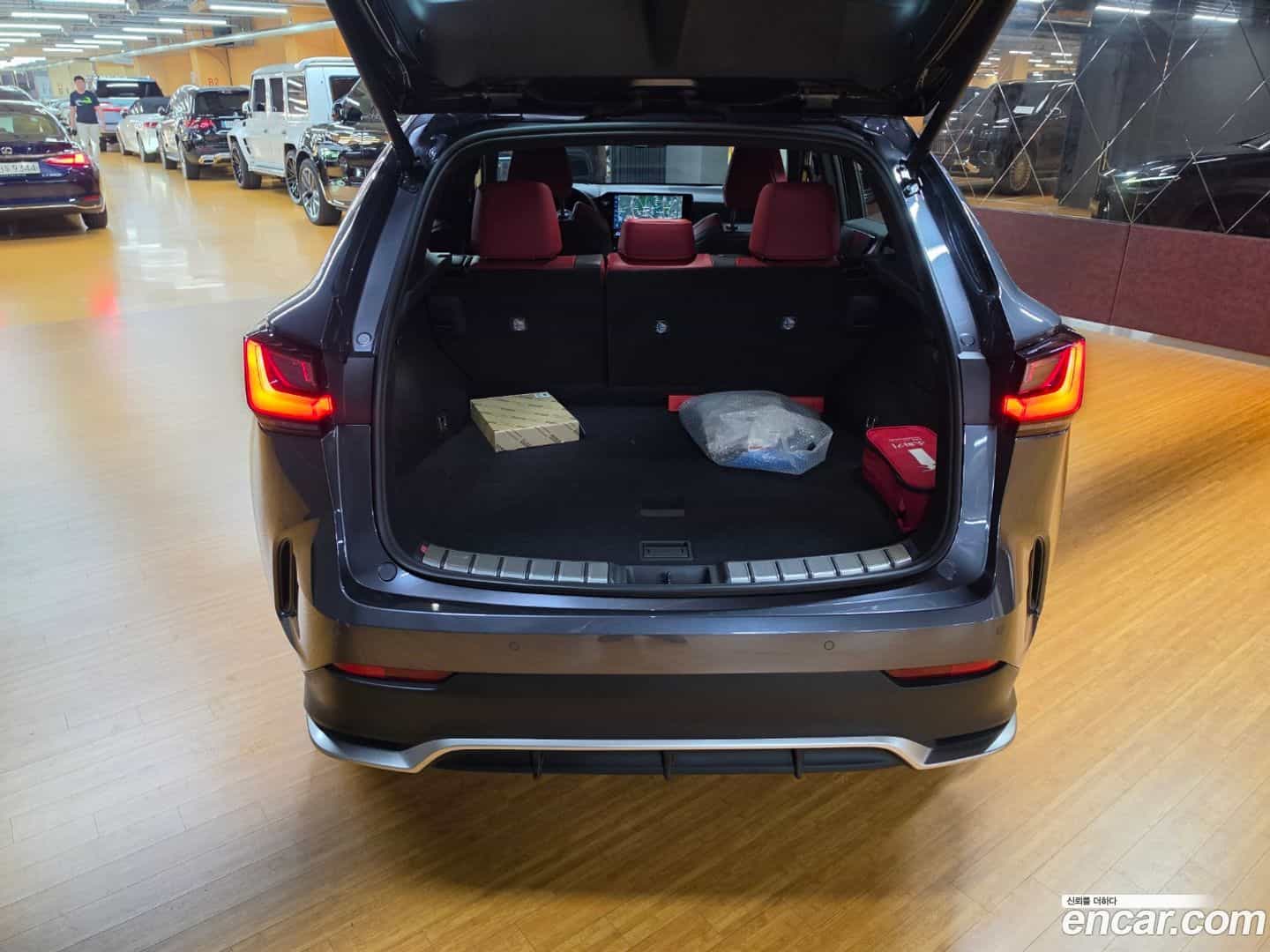 NX Lexus 2025.5-OPTION-018