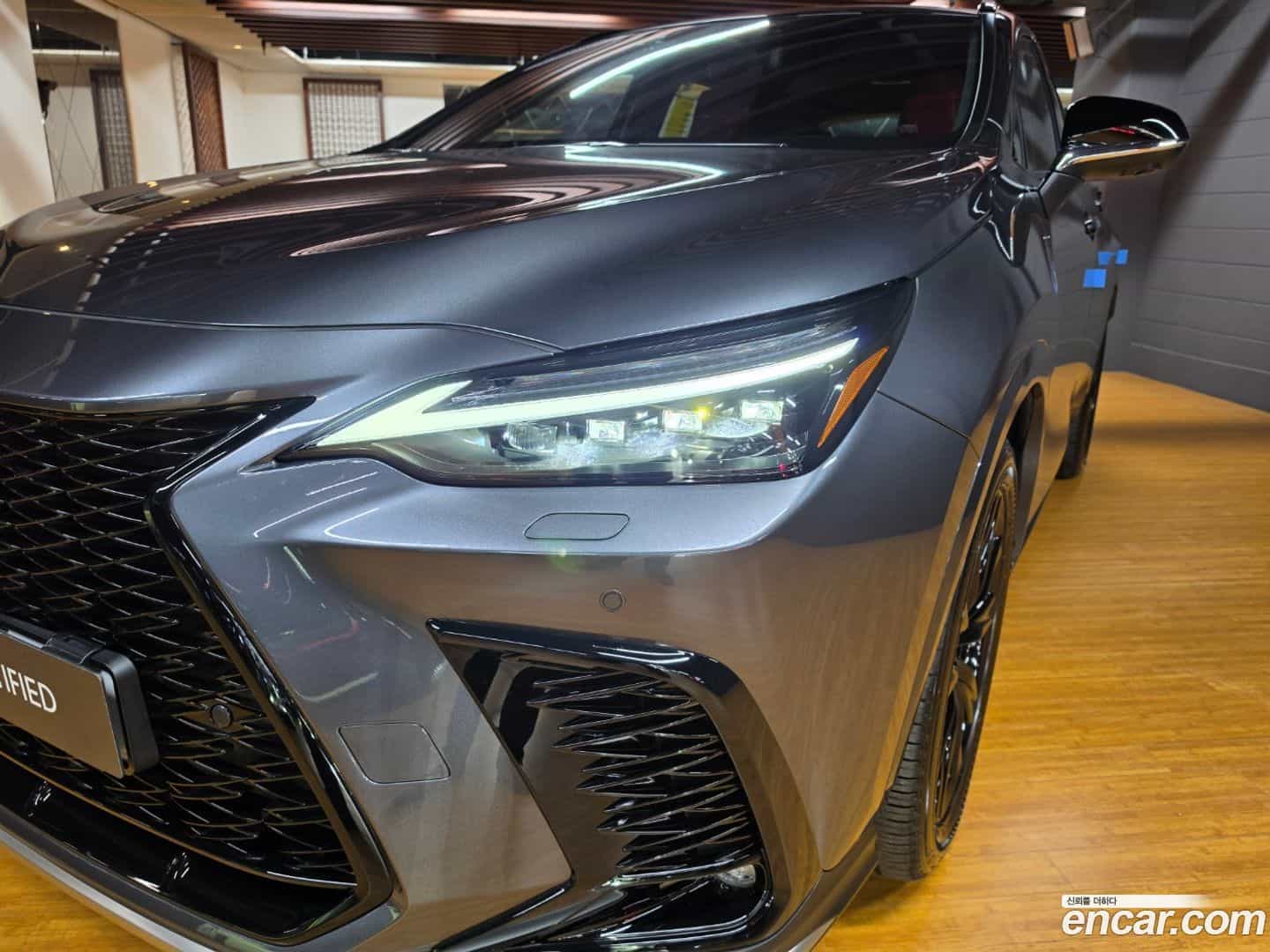 NX Lexus 2025.5-OPTION-021