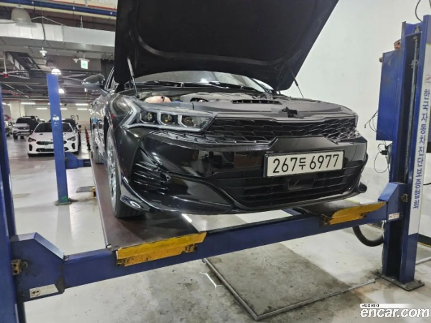 Main__Slider__Photo:K5 Kia 2022.5-0