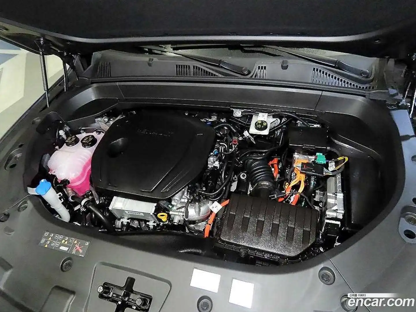 Grand Koleos Renault Korea 2026.3-OPTION-023