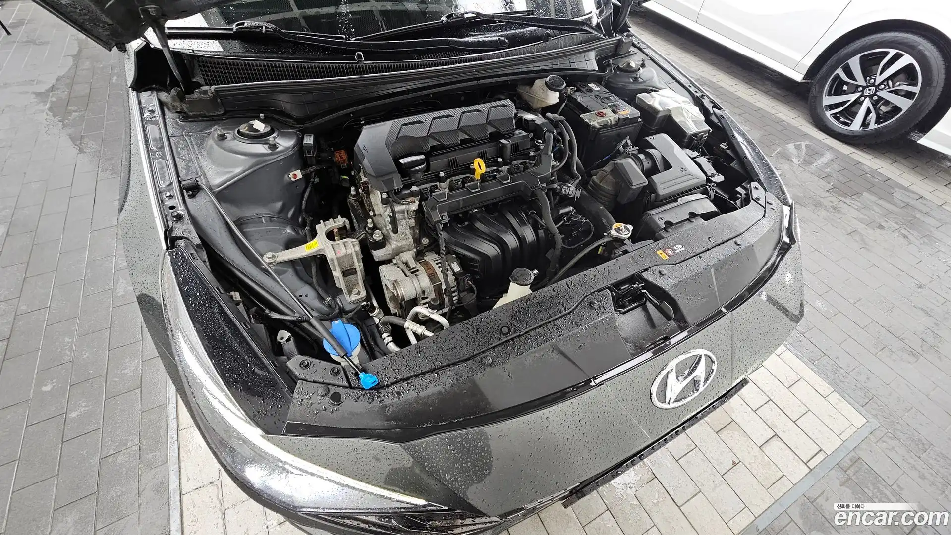 AVANTE Hyundai 2022.7-OUTER-006