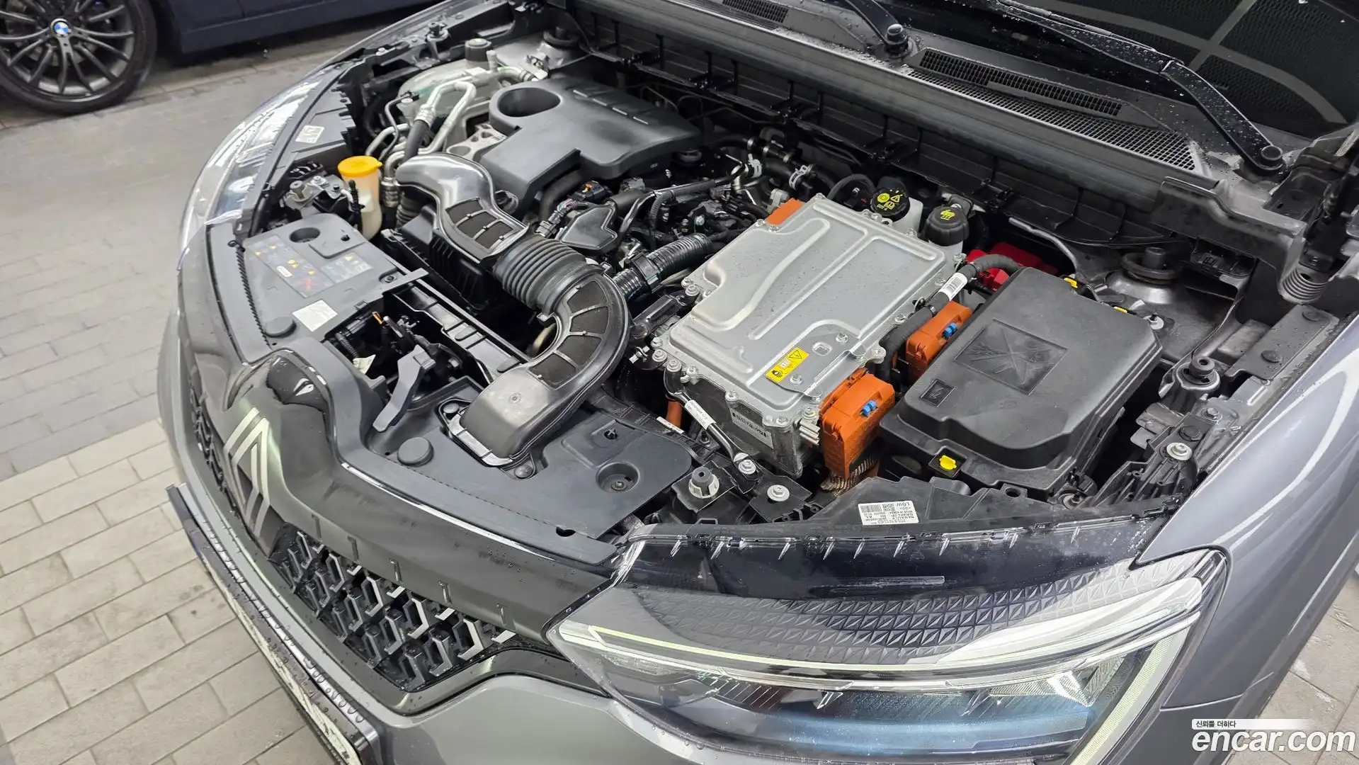 Arkana Renault Korea 2024.4-OUTER-006