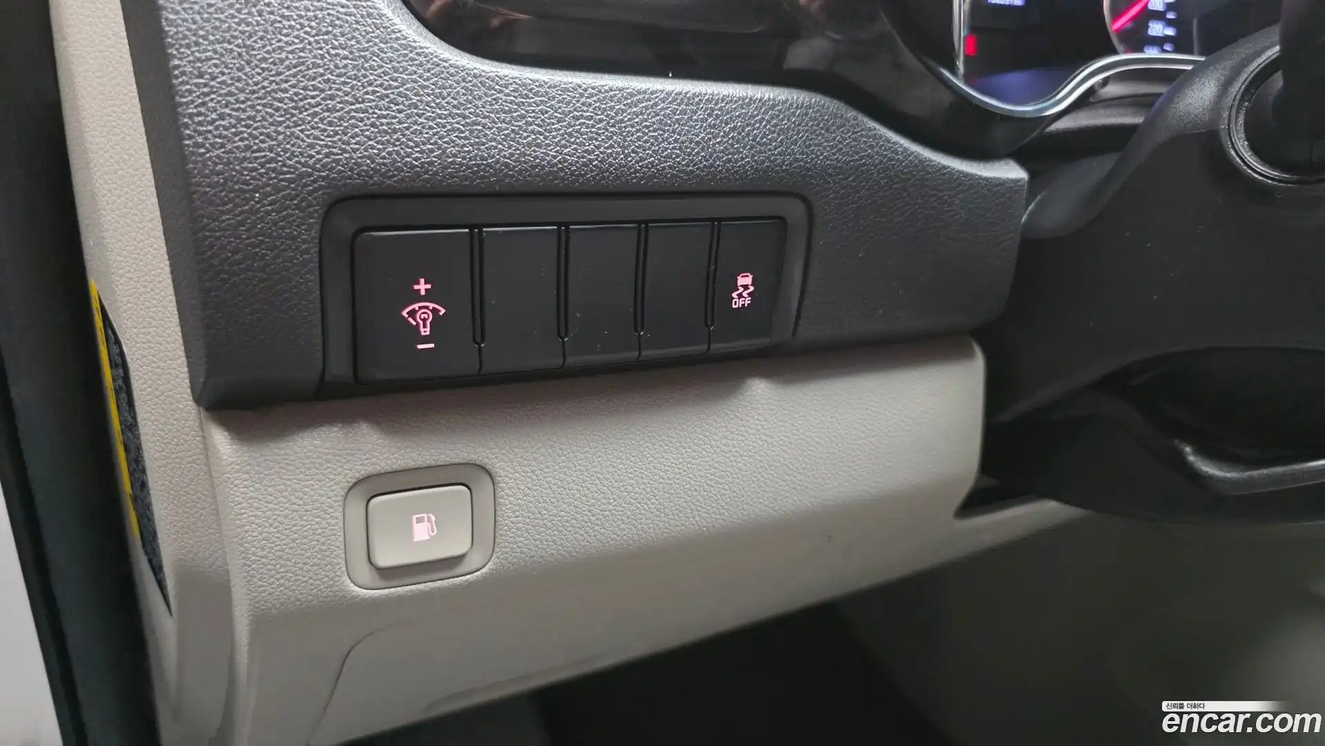 Canival Kia 2019.3-OPTION-018