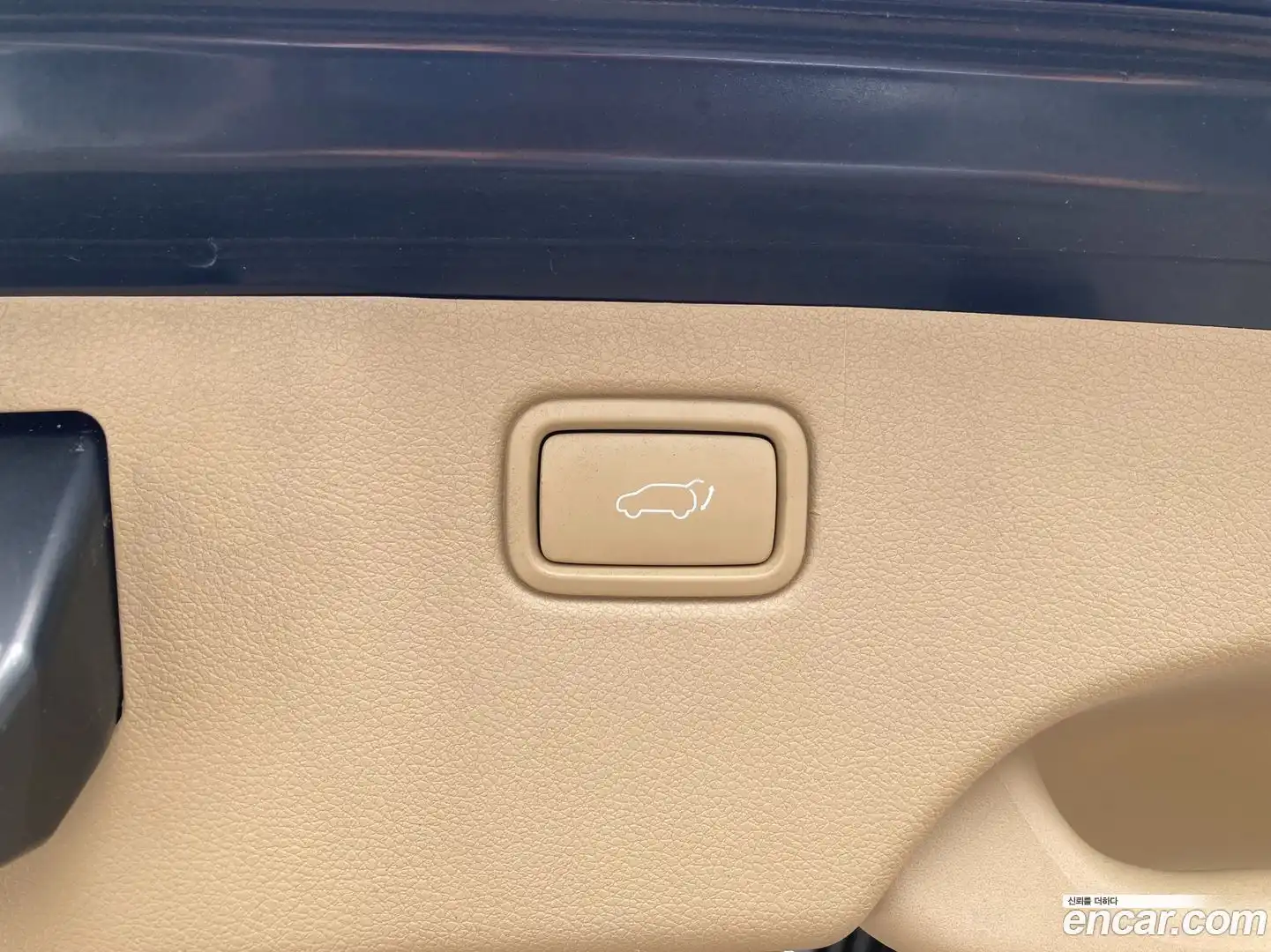 Canival Kia 2019.10-OPTION-015