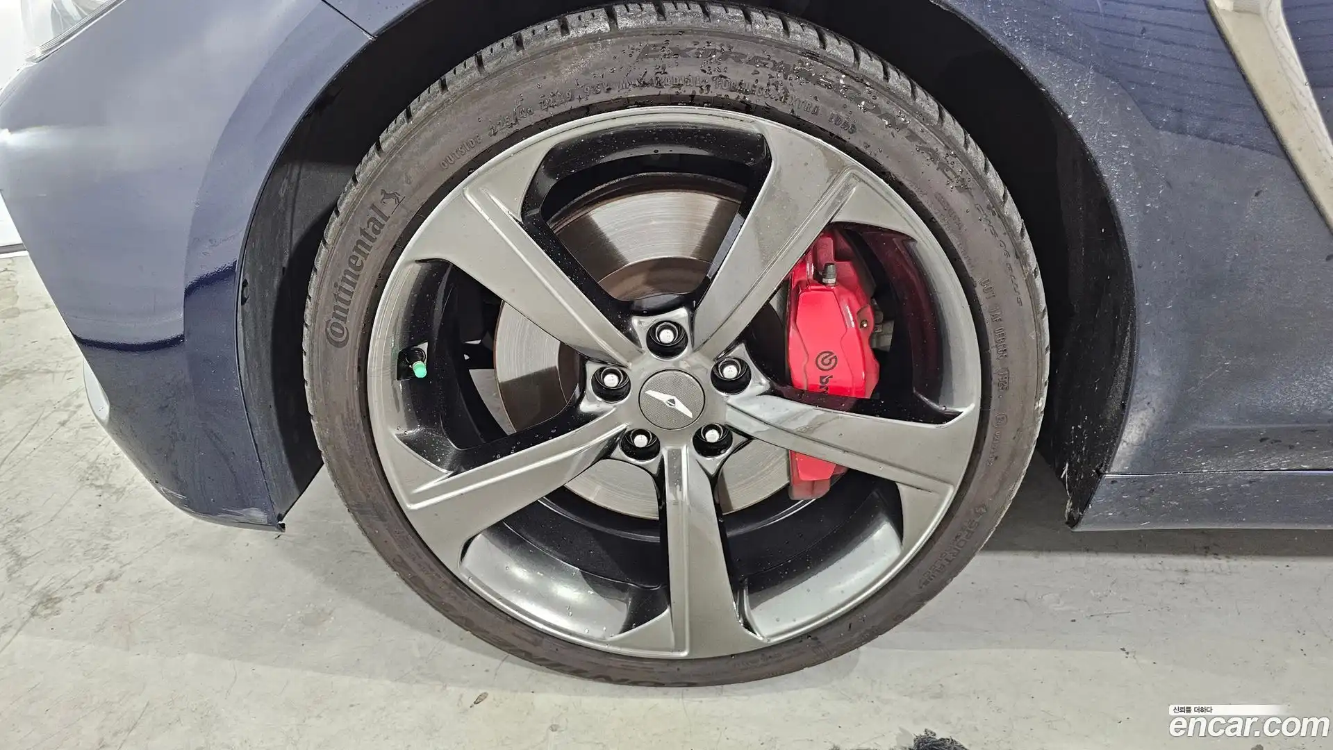 G70 Genesis 2019.4-OUTER-005