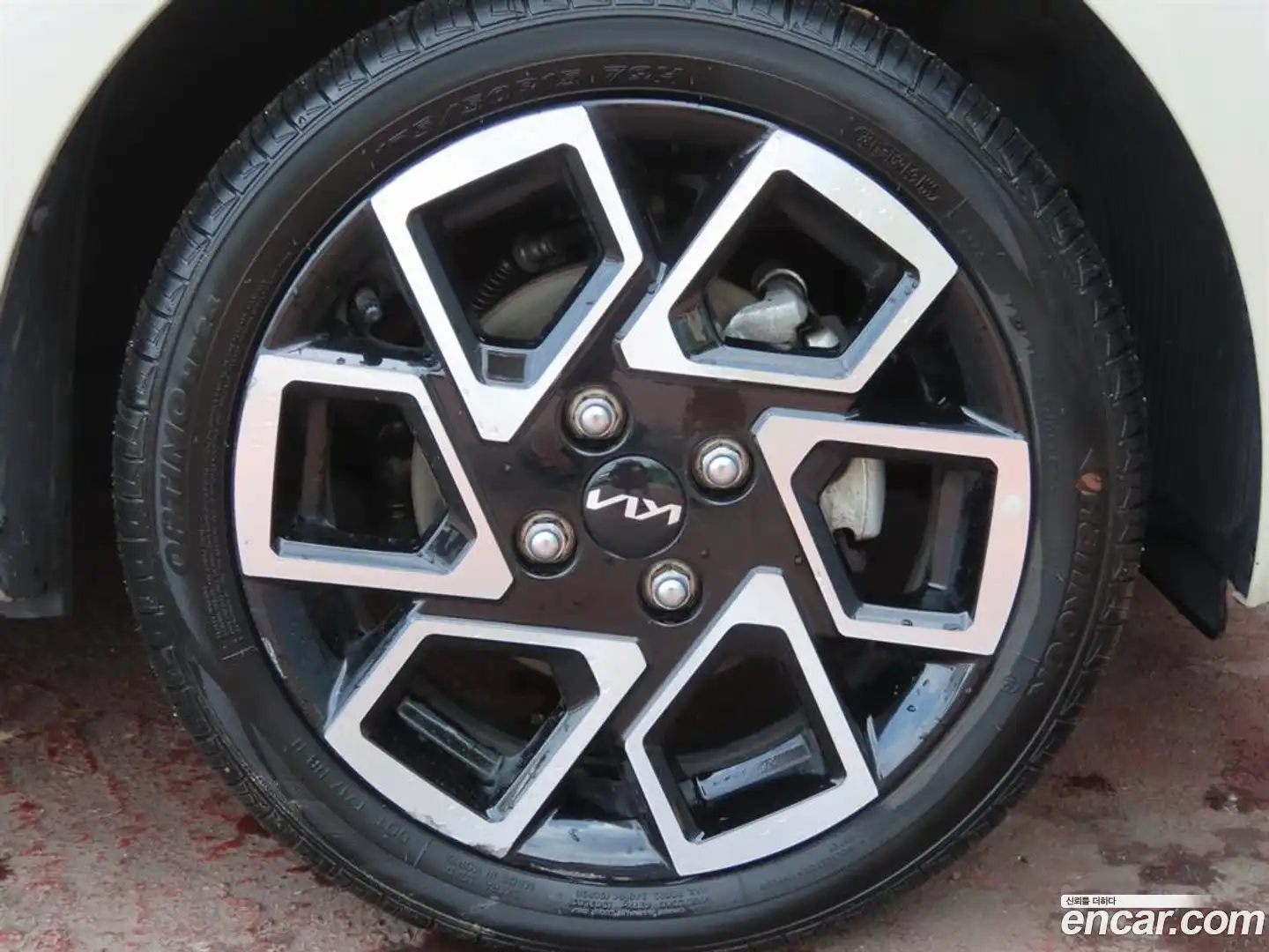 RAY Kia 2024.0-OPTION-024