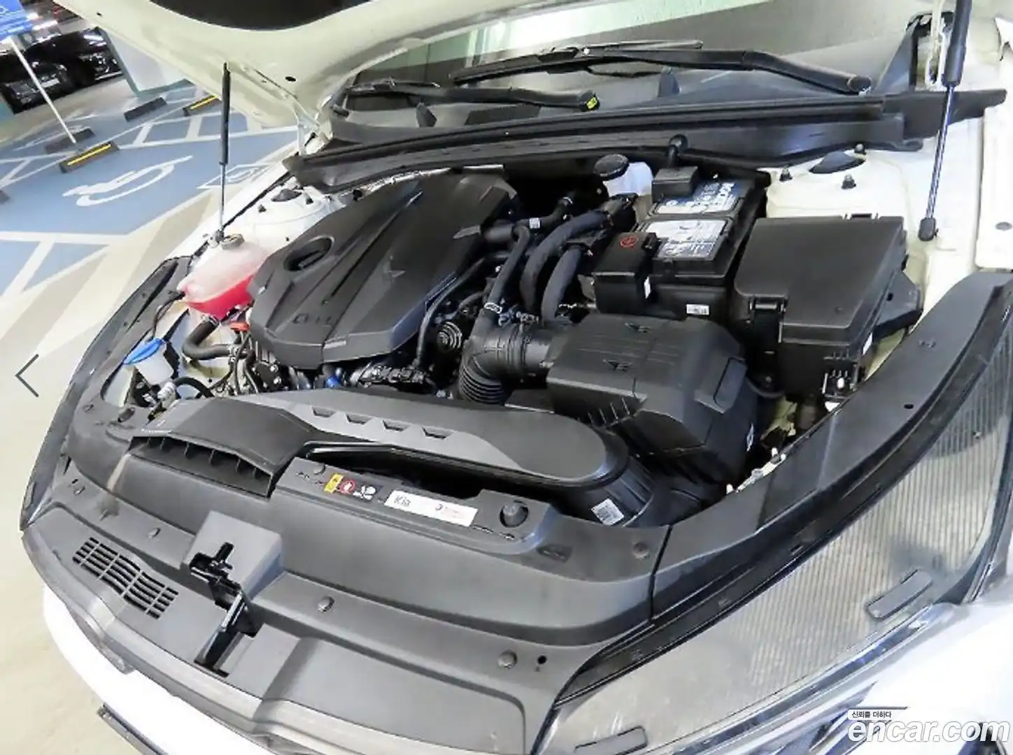 K5 Kia 2022.7-OPTION-023