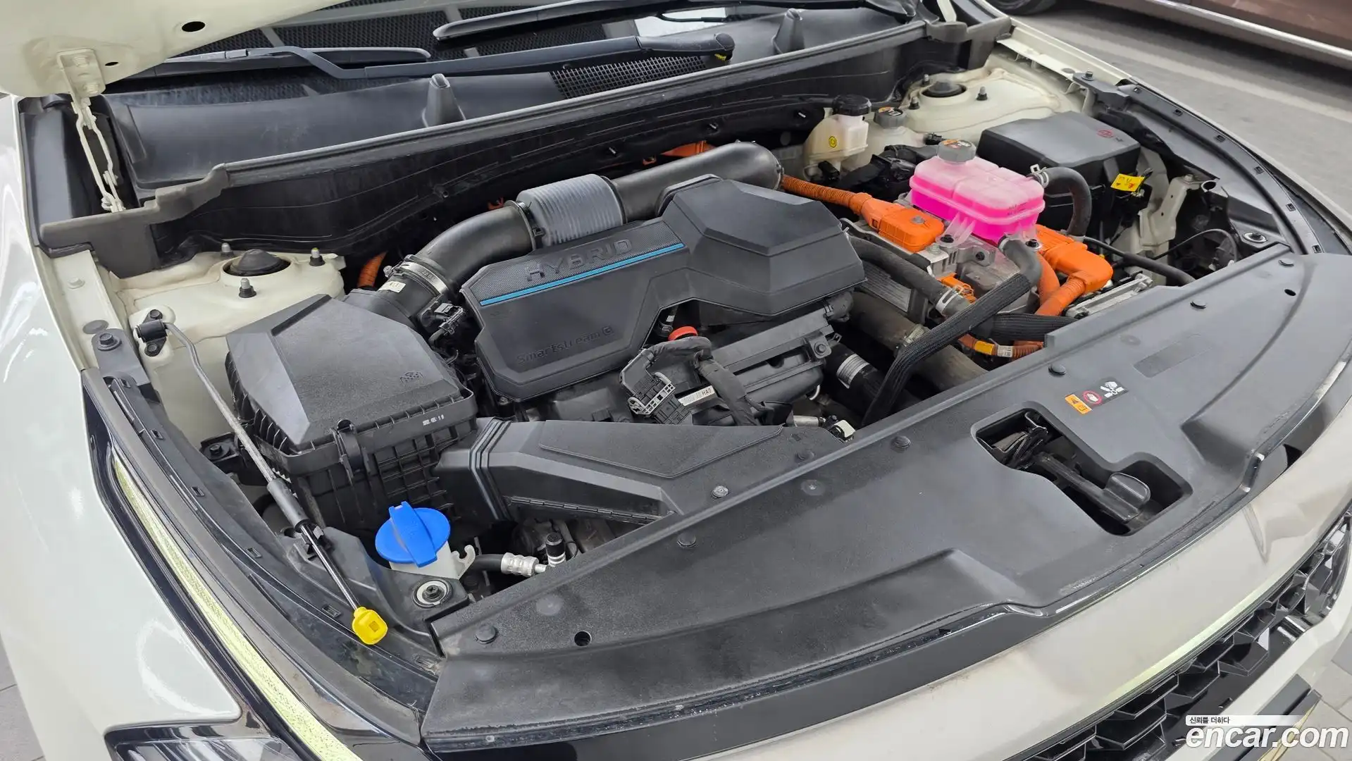 Sportage Kia 2022.2-OUTER-006