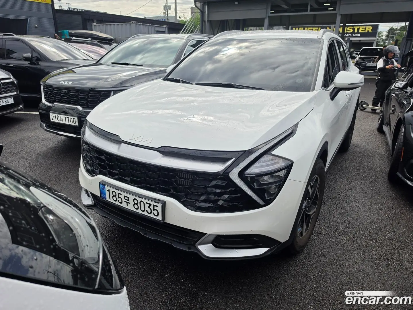 Main__Slider__Photo:Sportage Kia 2021.8-0
