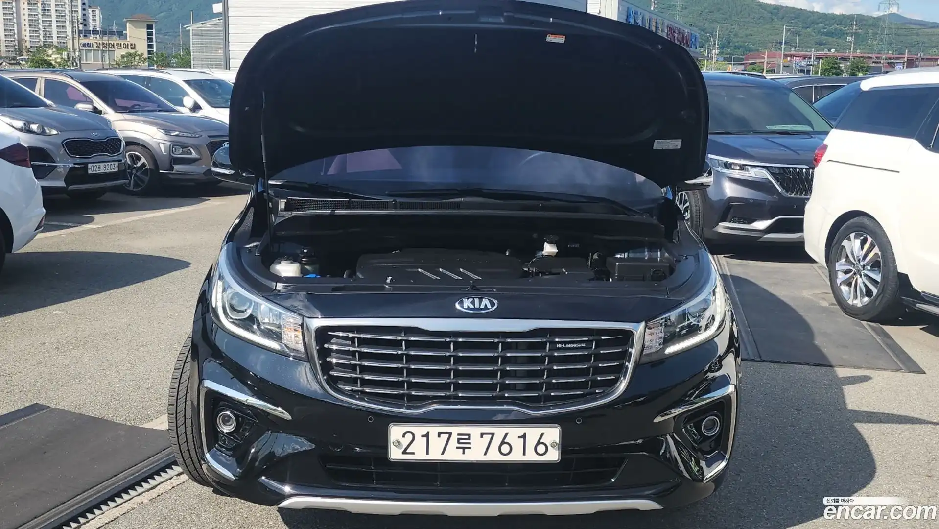 Canival Kia 2019.3-INNER-007