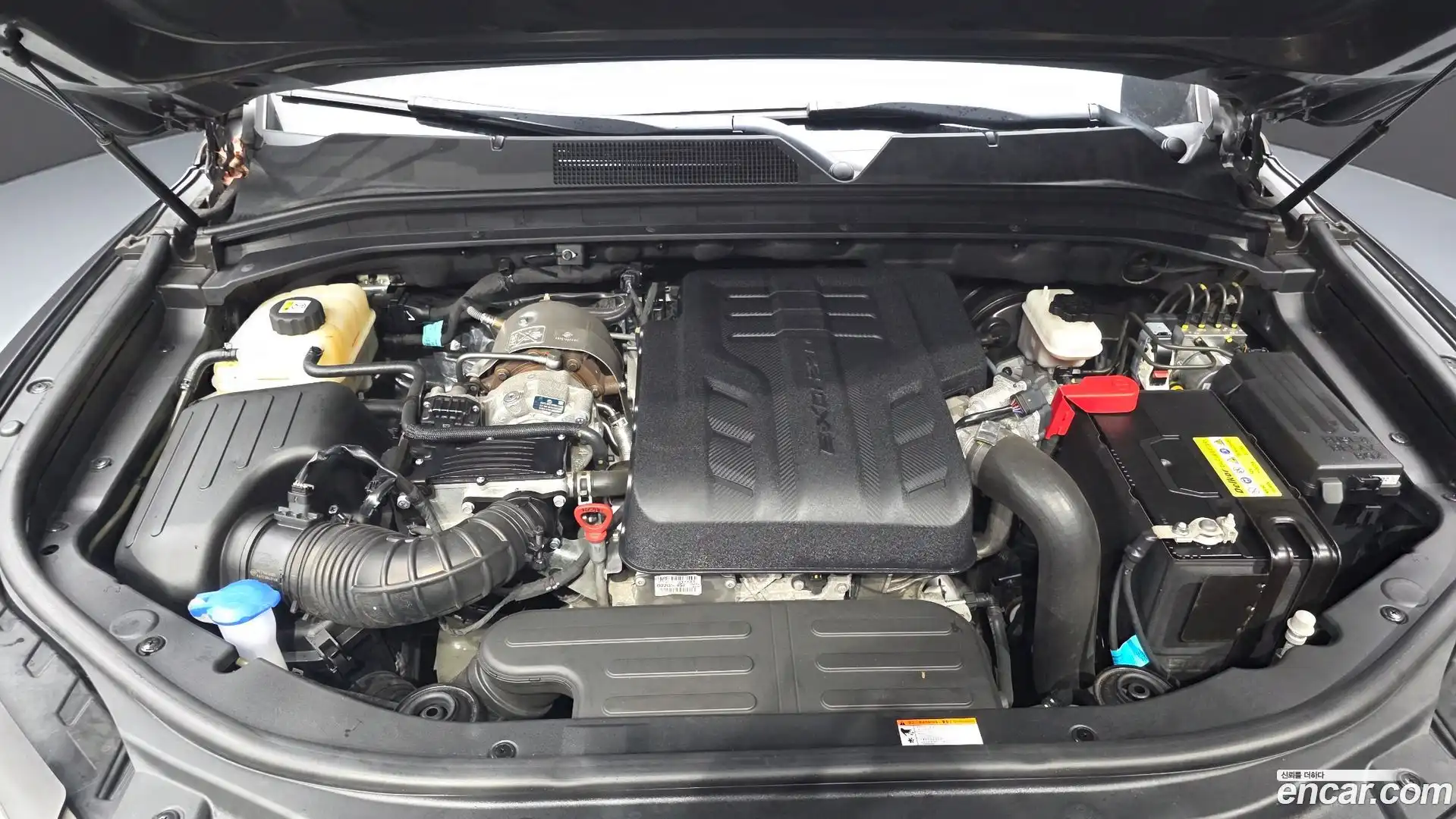 Rexton KG Mobility 2022.6-OUTER-006