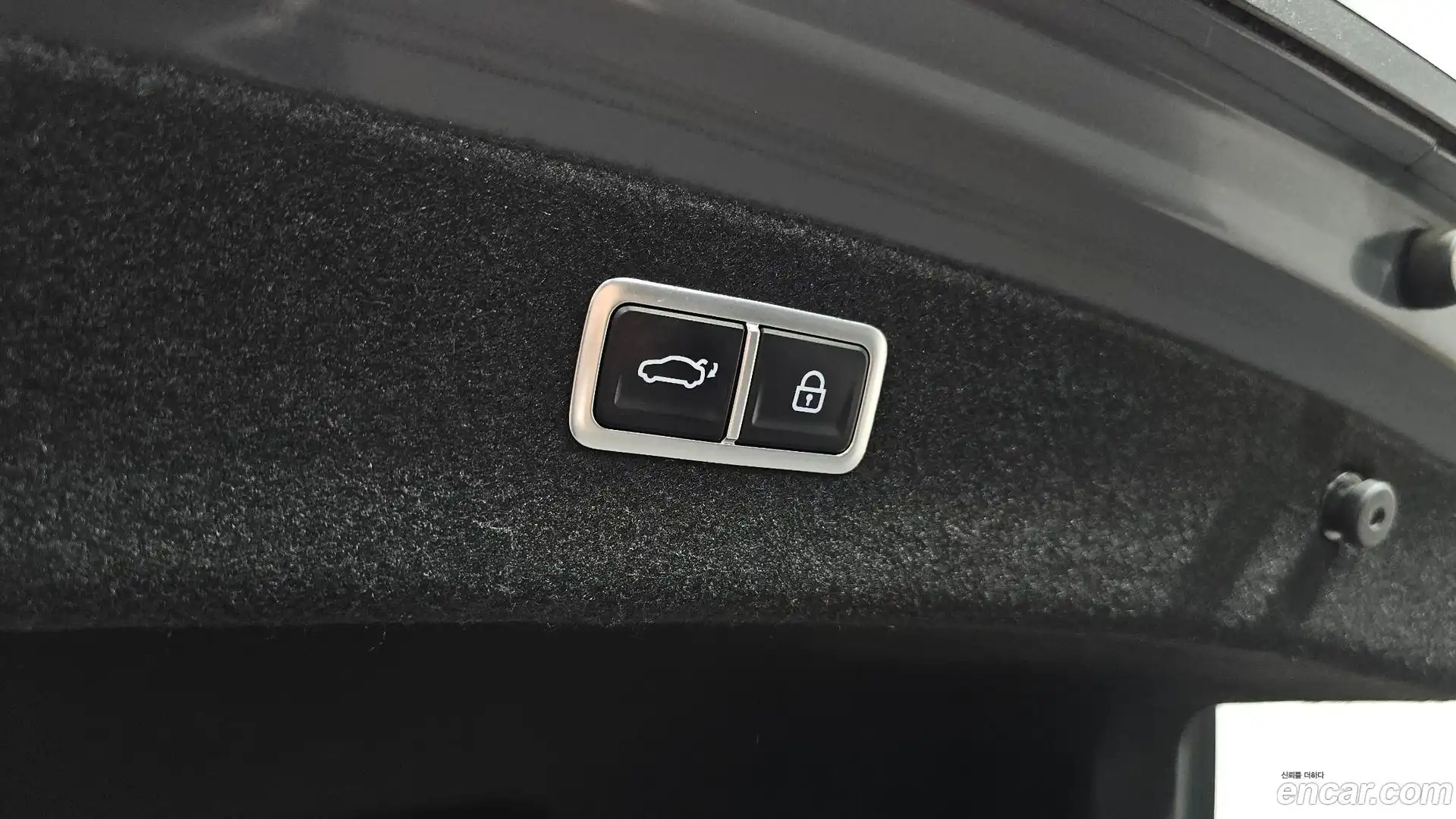 G80 Genesis 2021.1-OPTION-021