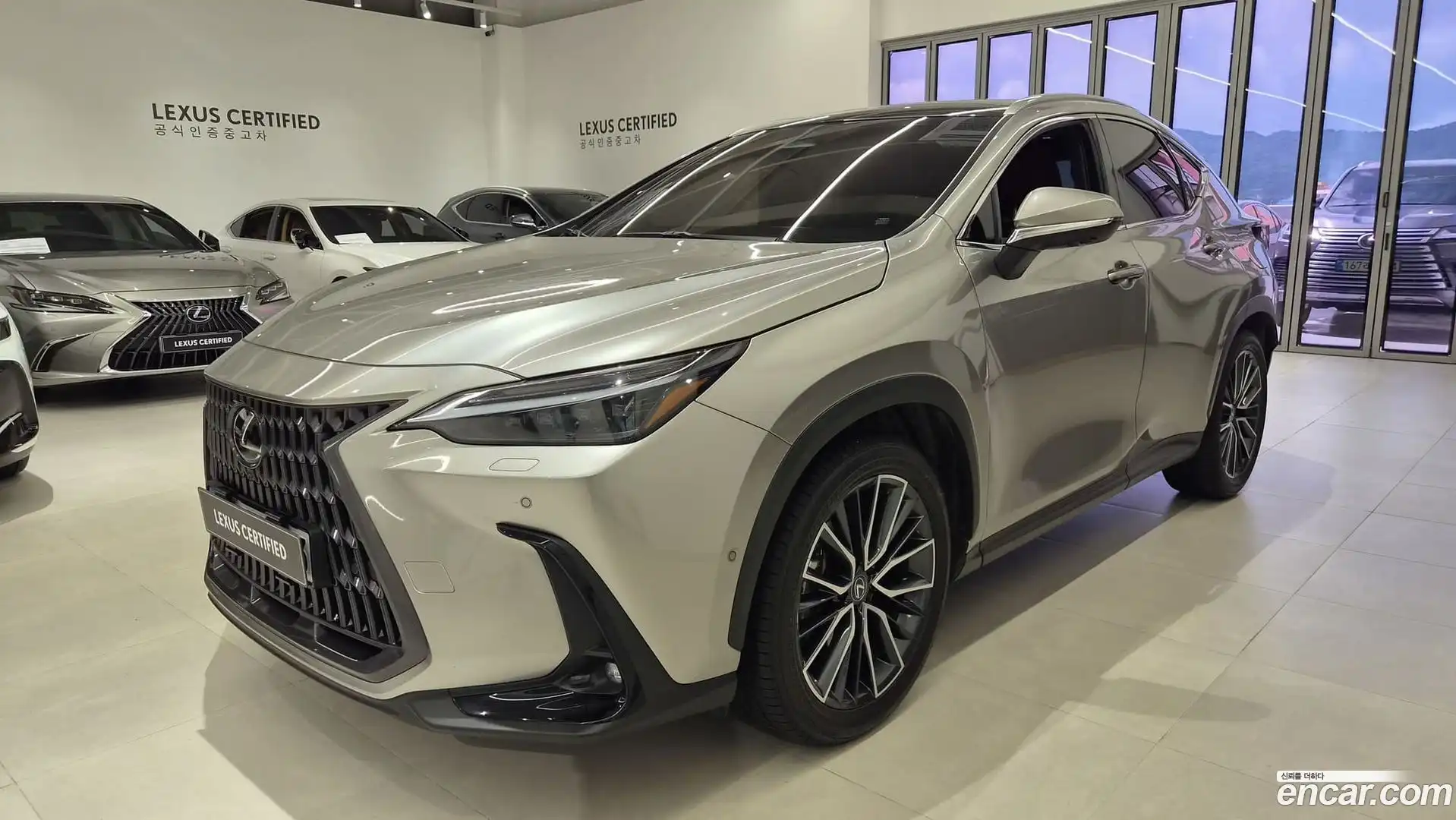 NX Lexus 2025.1-OUTER-001