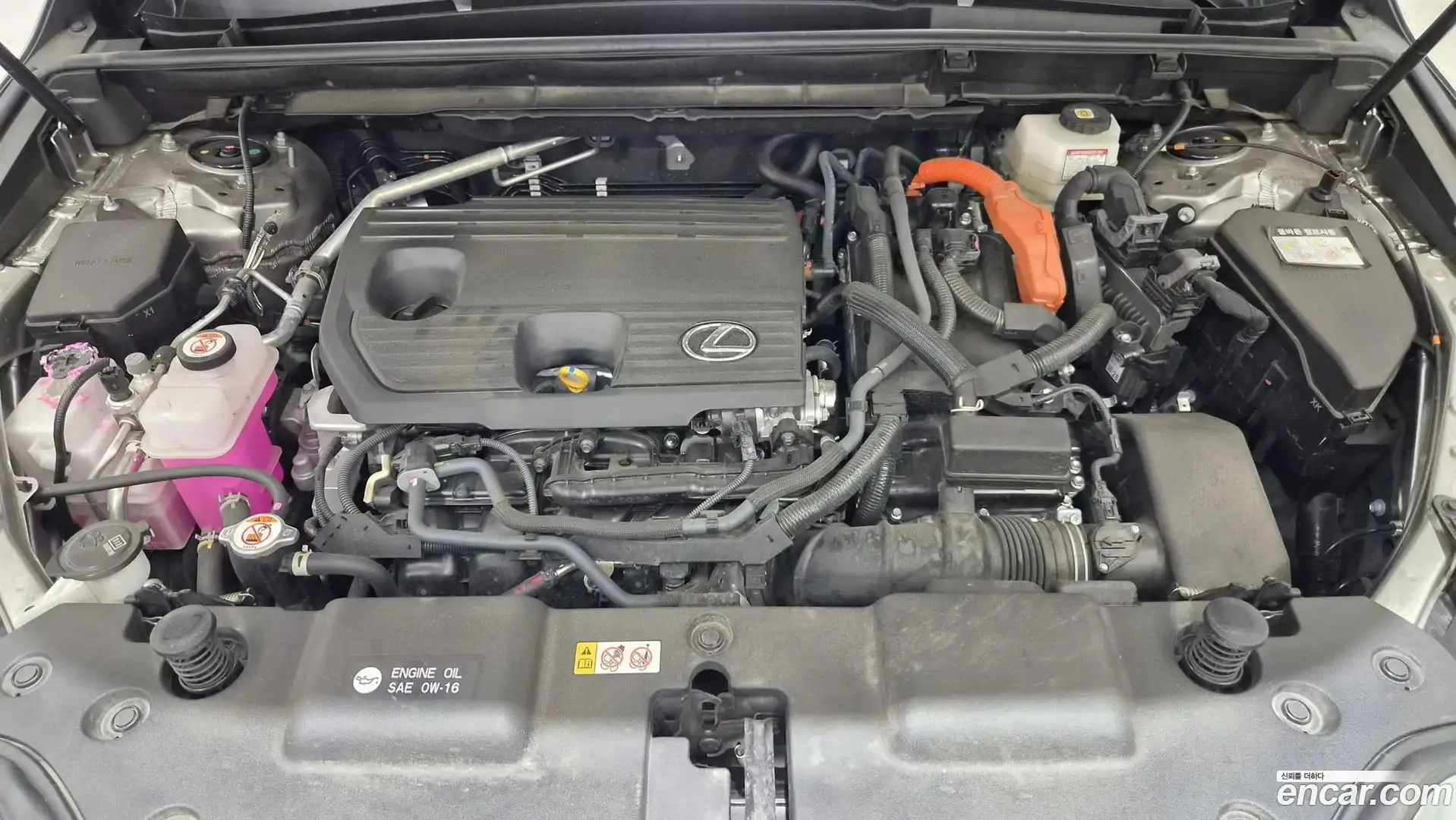 NX Lexus 2025.1-OUTER-006