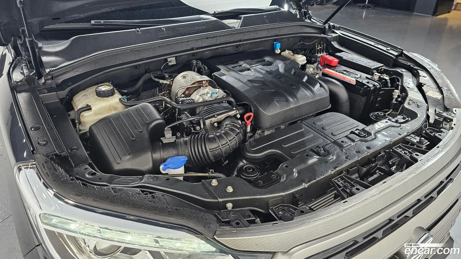 Rexton KG Mobility 2022.9-OUTER-006
