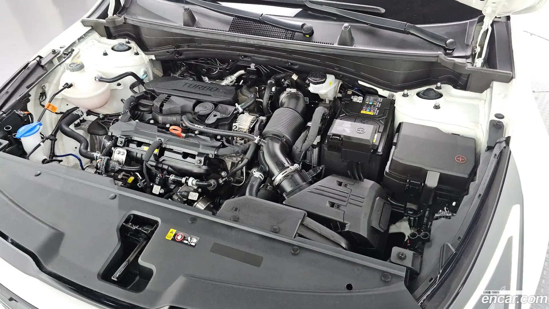 Sportage Kia 2025.1-OUTER-006