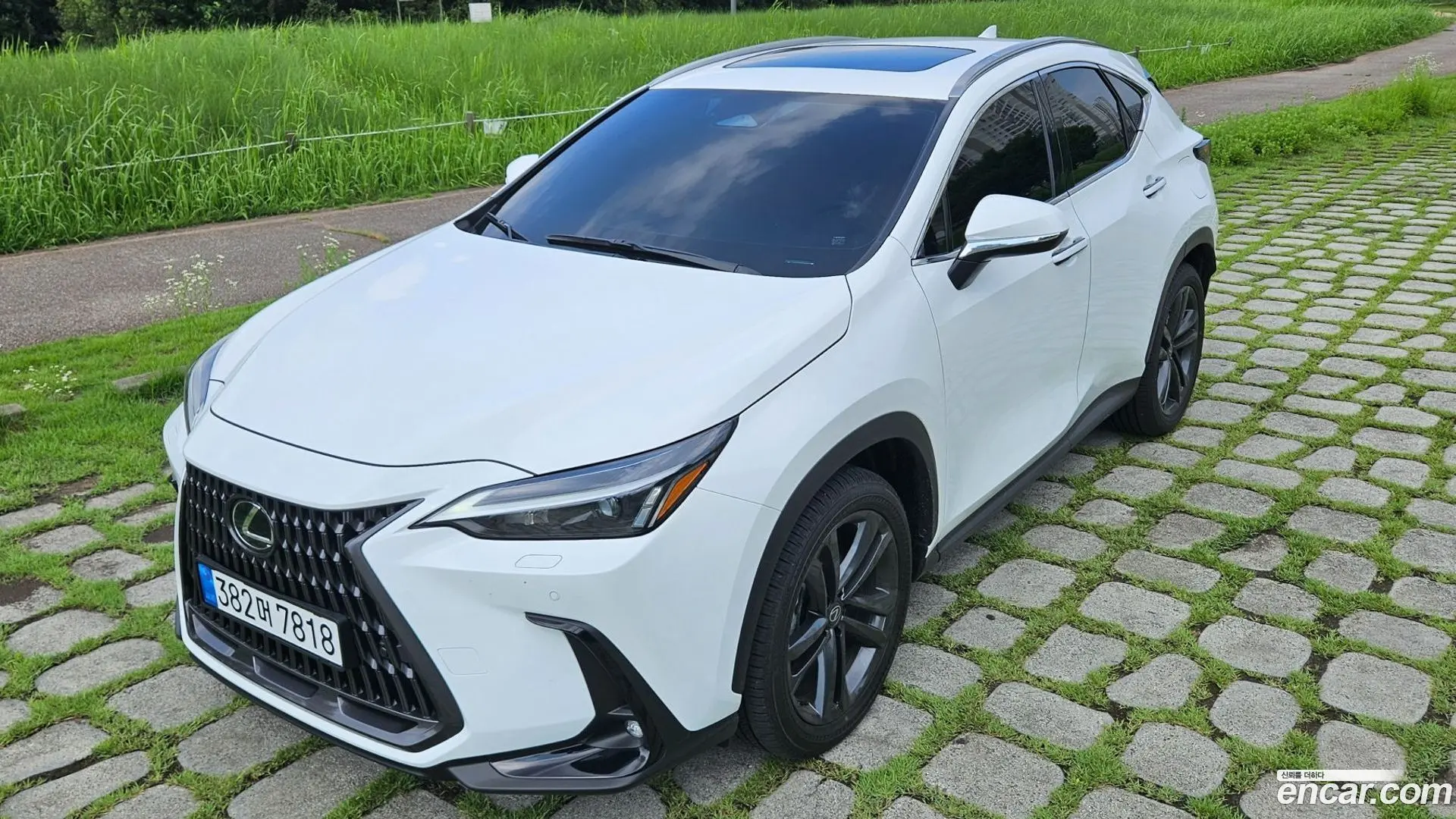 Main__Slider__Photo:NX Lexus 2026.5-1