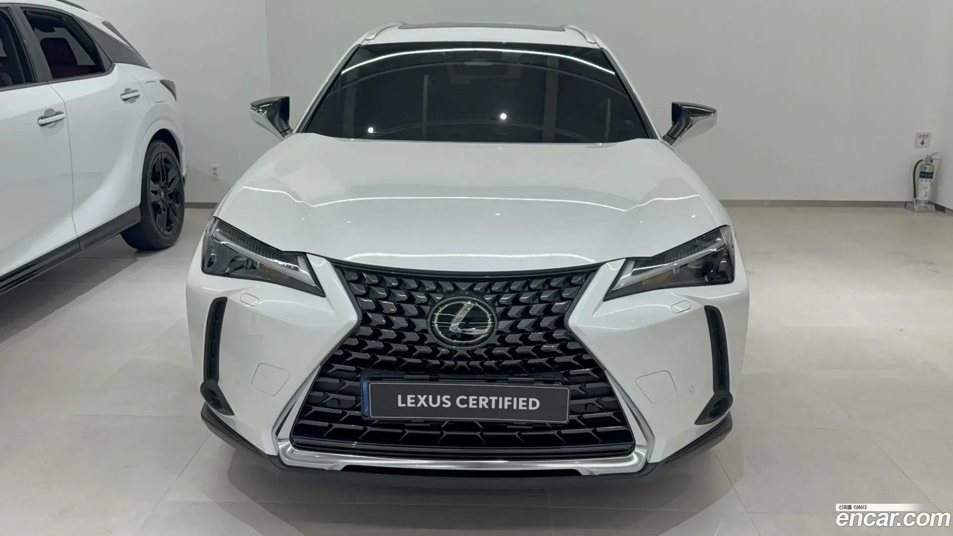 Main__Slider__Photo:UX Lexus 2025.8-1