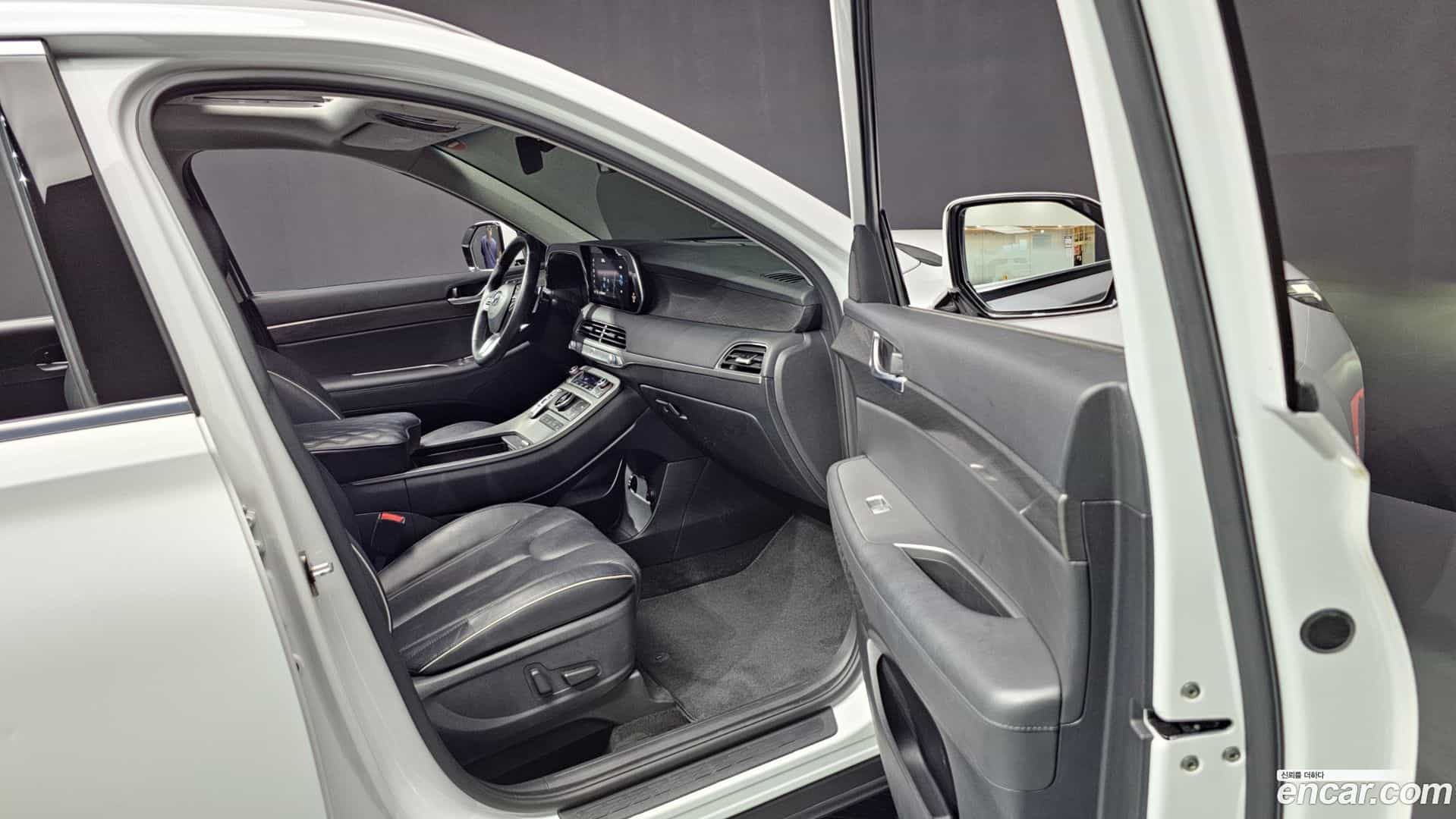 Palisade Hyundai 2019.0-OPTION-015