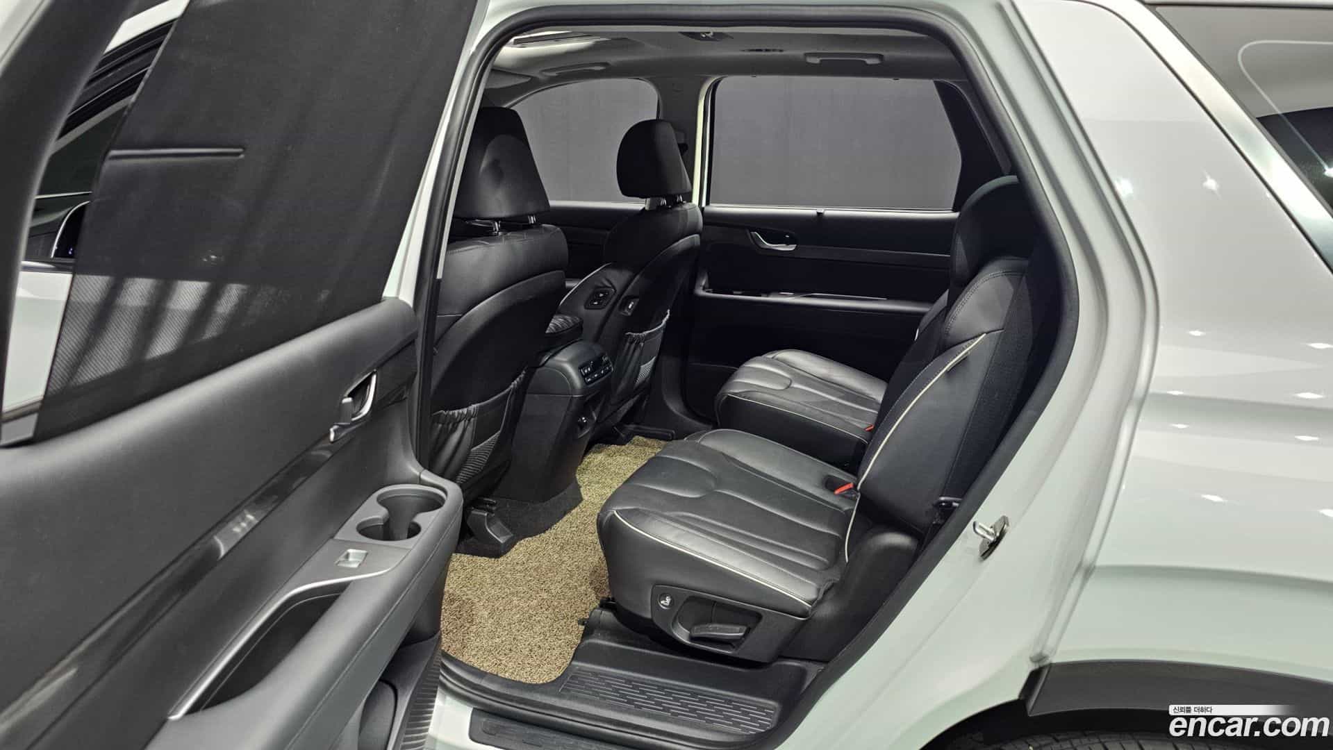 Palisade Hyundai 2019.0-OPTION-016