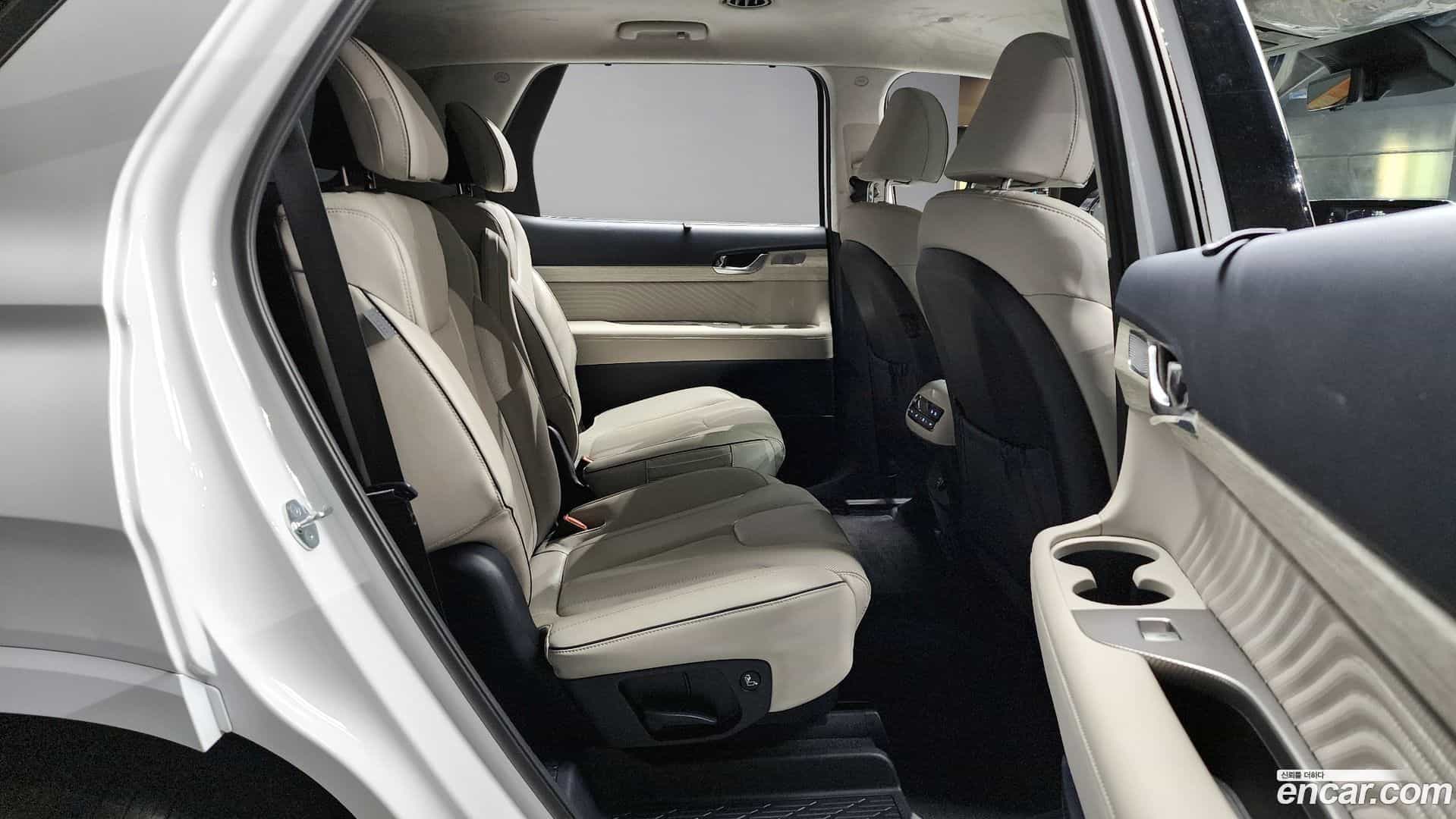 Palisade Hyundai 2023.0-OPTION-016