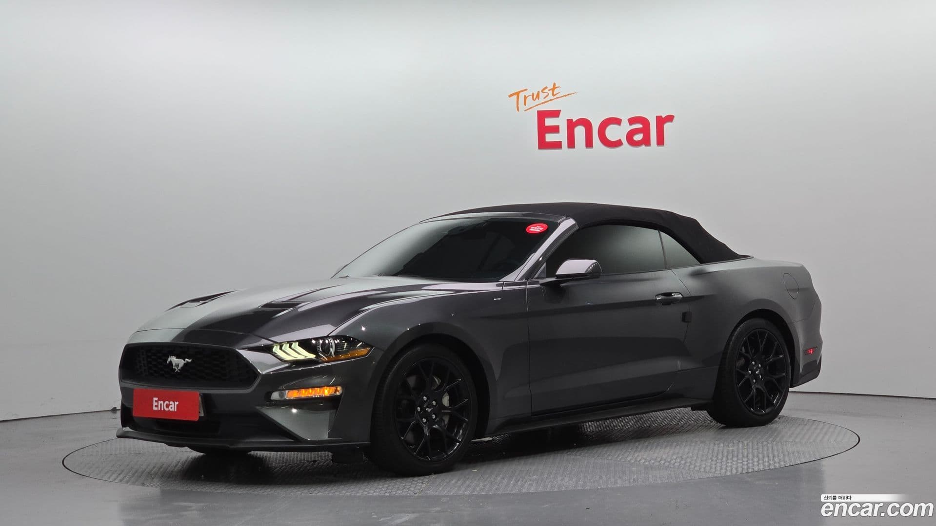 Main__Slider__Photo:Mustang Ford 2020.8-0