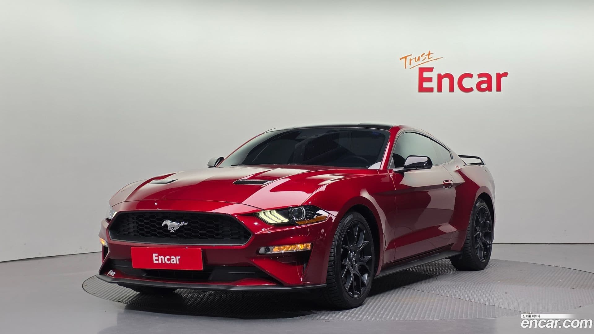 Main__Slider__Photo:Mustang Ford 2019.10-0