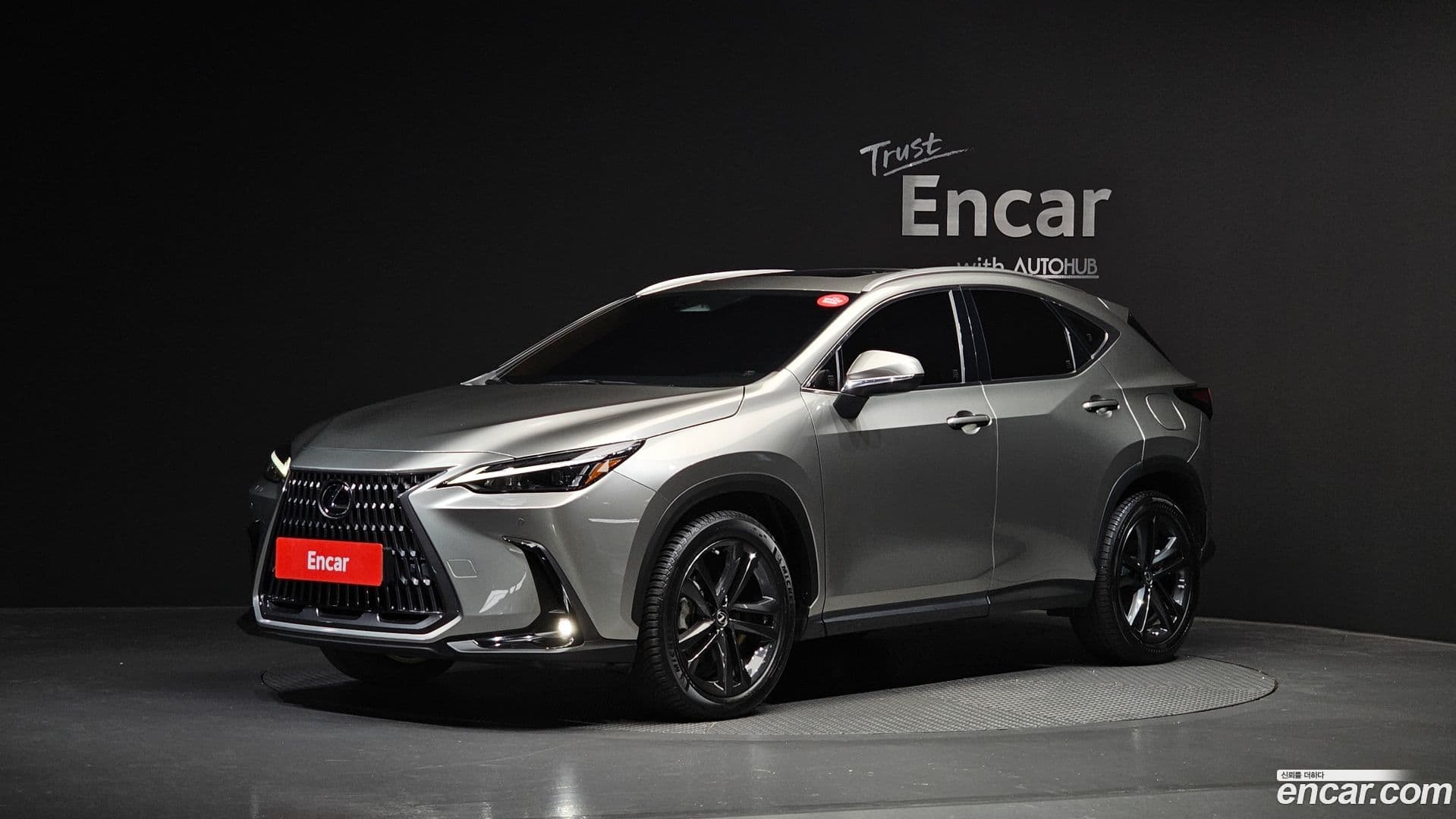 Main__Slider__Photo:NX Lexus 2022.8-0