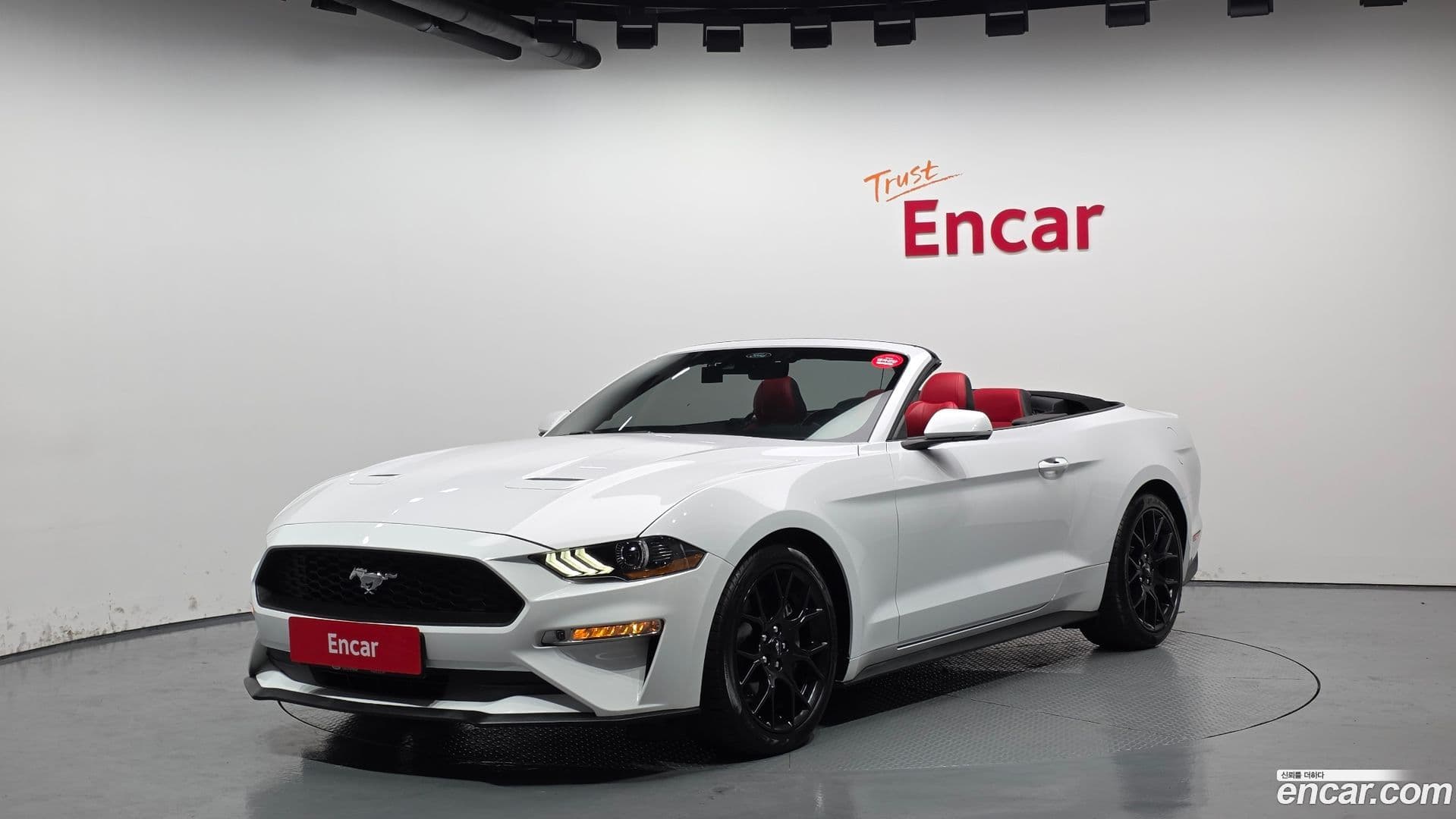 Main__Slider__Photo:Mustang Ford 2021.8-0