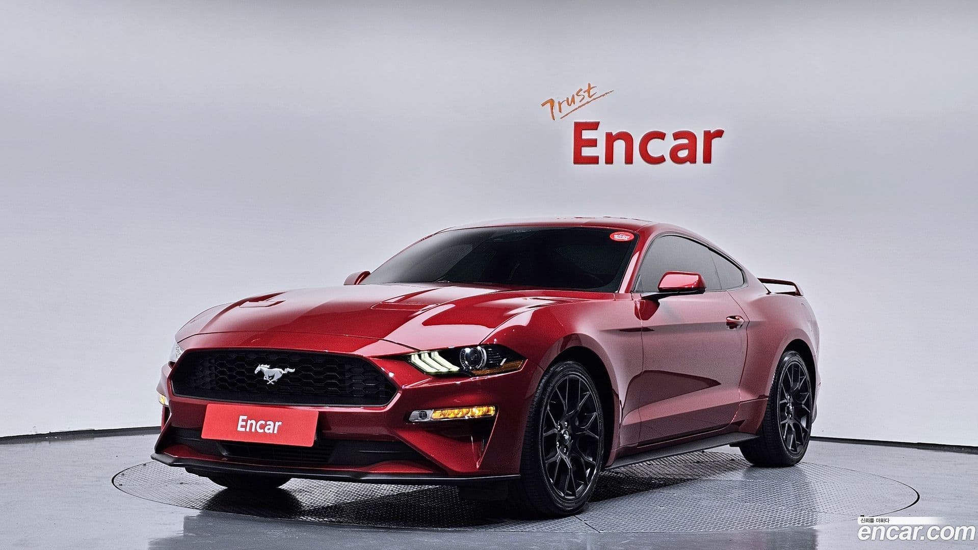 Main__Slider__Photo:Mustang Ford 2020.6-0