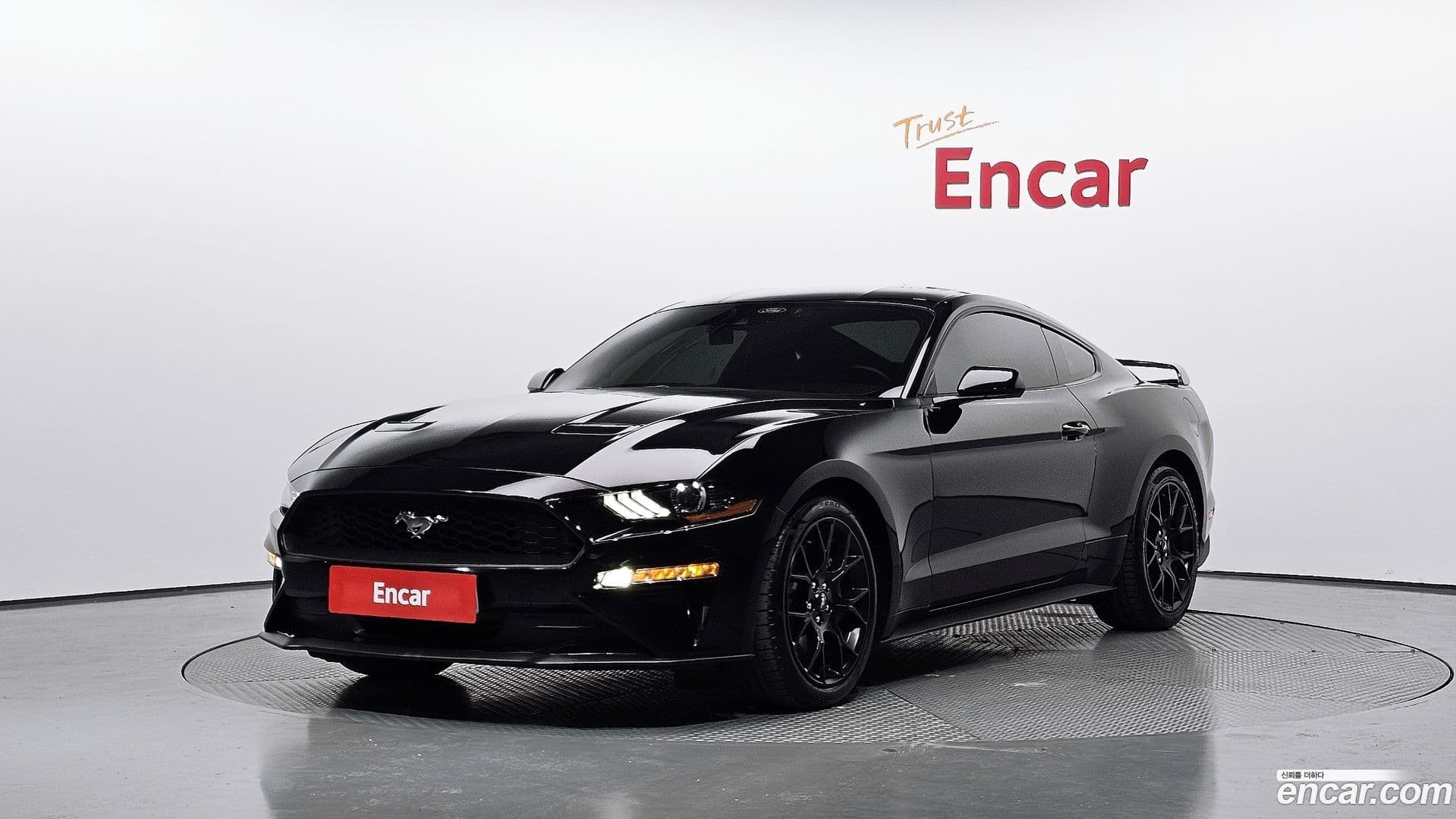 Main__Slider__Photo:Mustang Ford 2021.8-0