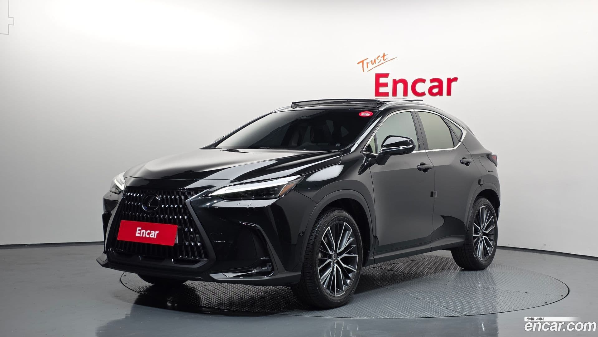 Main__Slider__Photo:NX Lexus 2025.8-0