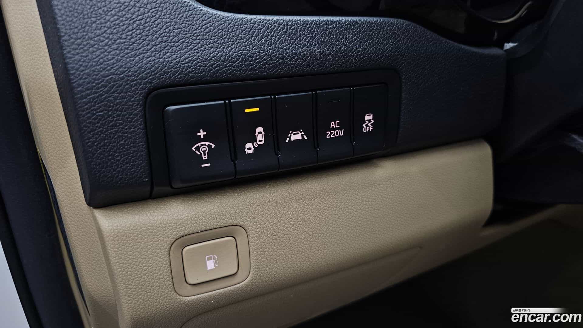 Canival Kia 2019.3-OPTION-020