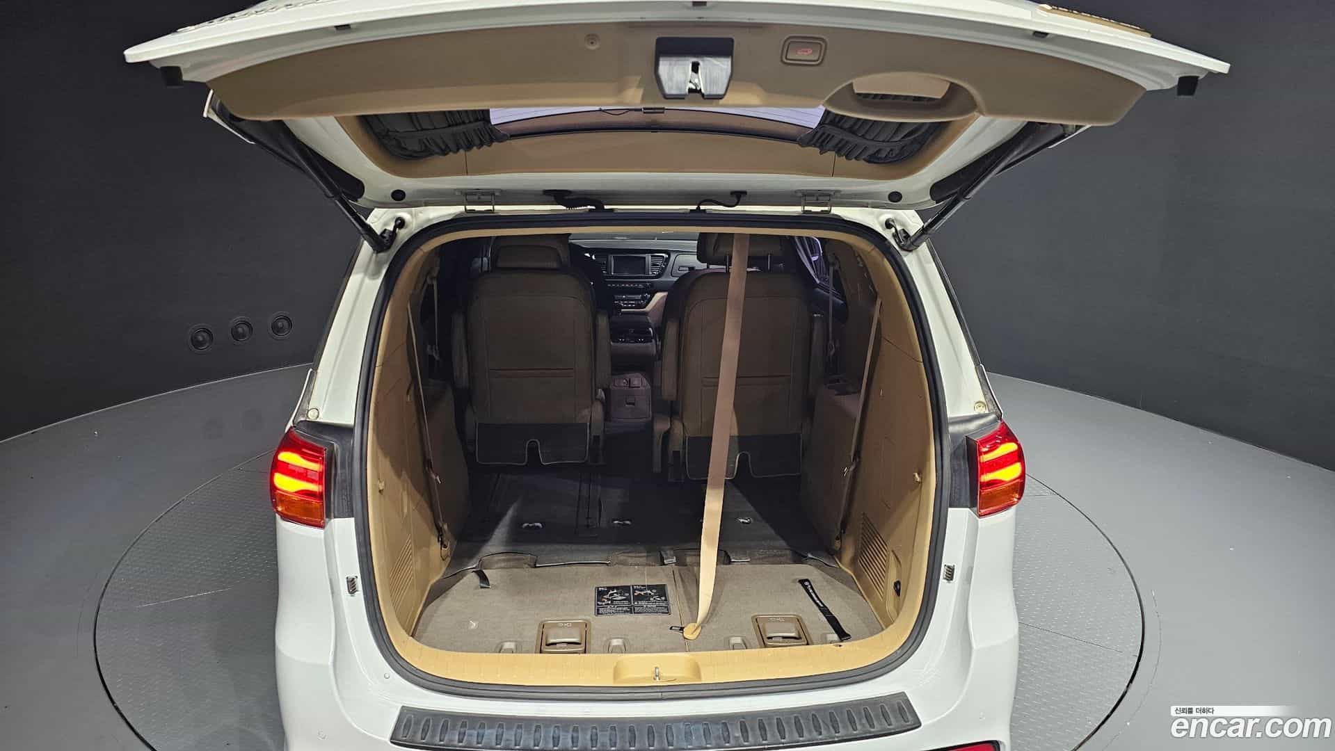Canival Kia 2019.3-OPTION-024