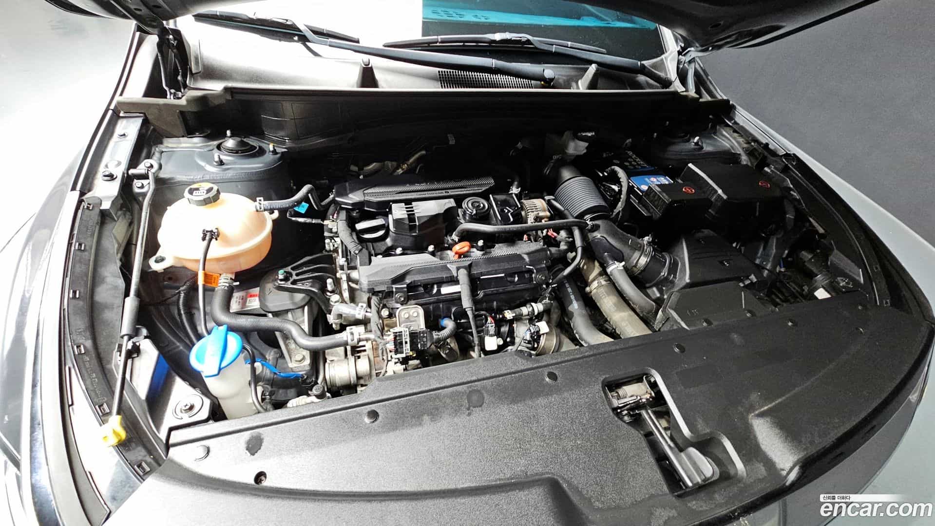 Sportage Kia 2021.8-INNER-006