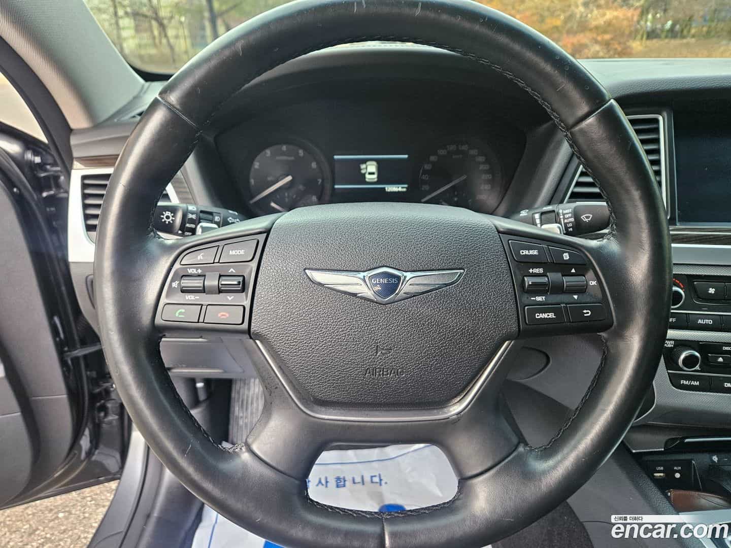 G80 Genesis 2017.6-OPTION-020