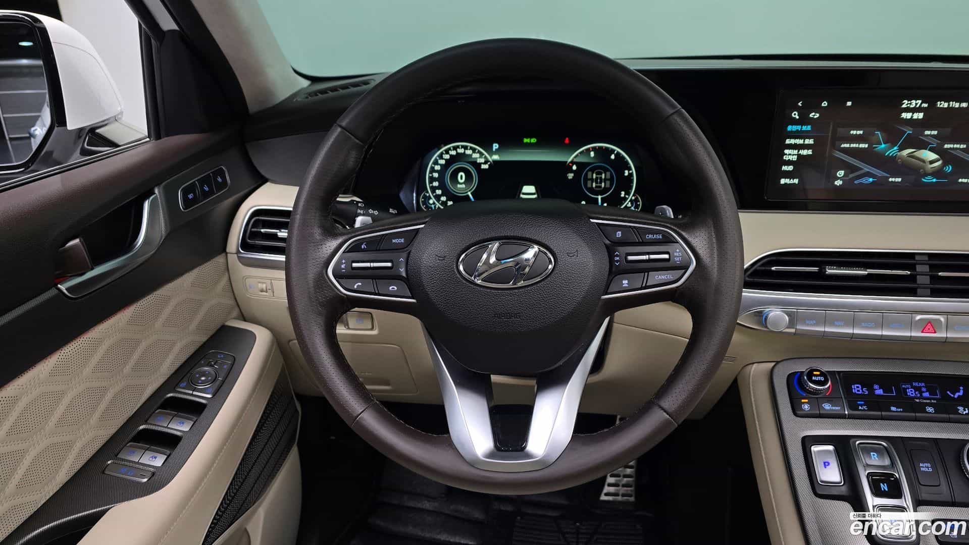 Palisade Hyundai 2020.11-OPTION-017