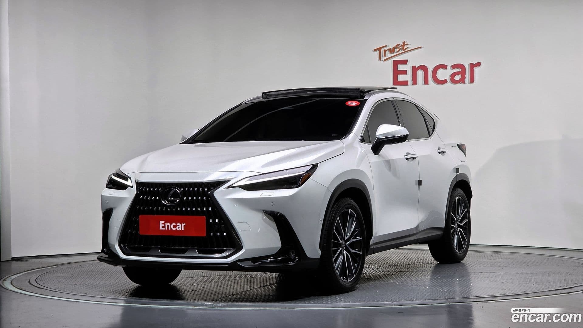 Main__Slider__Photo:NX Lexus 2024.8-0