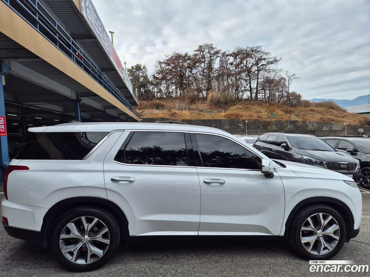 Palisade Hyundai 2021.1-OUTER-004