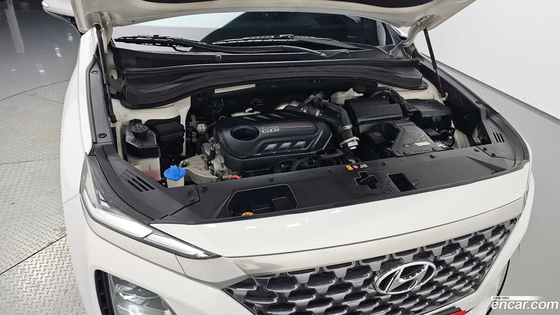 Santafe Hyundai 2019.1-INNER-006