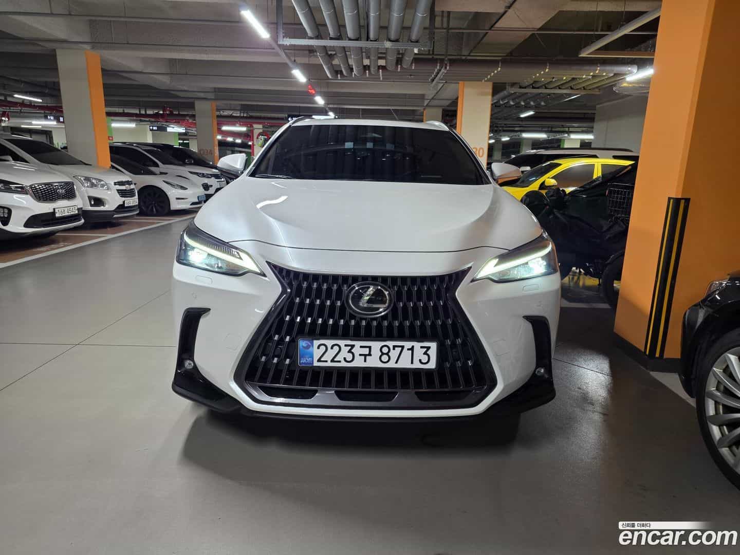 NX Lexus 2024.7-OUTER-003