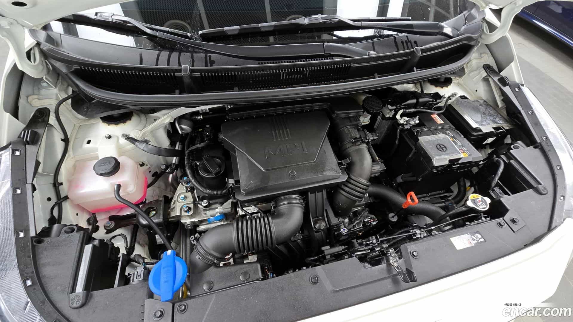 morning Kia 2024.11-INNER-006