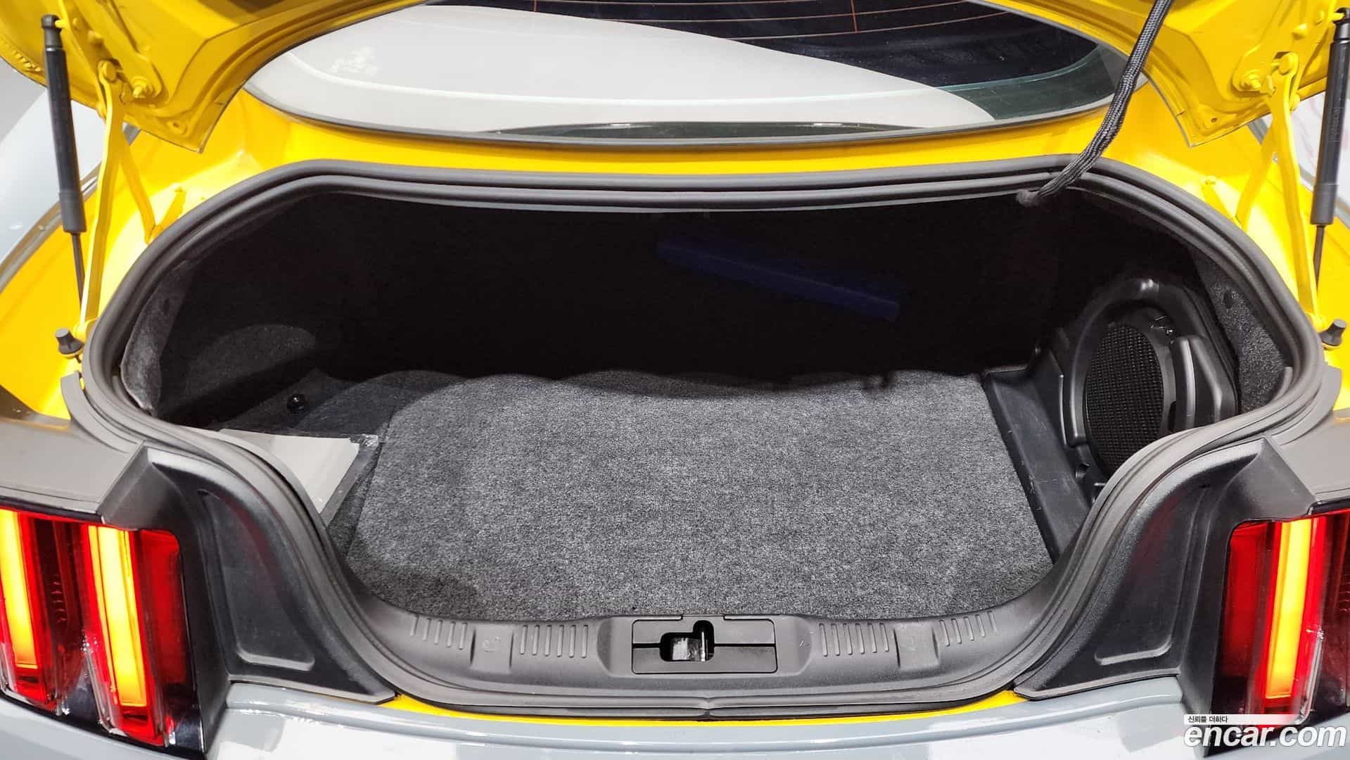 Mustang Ford 2015.1-OPTION-024