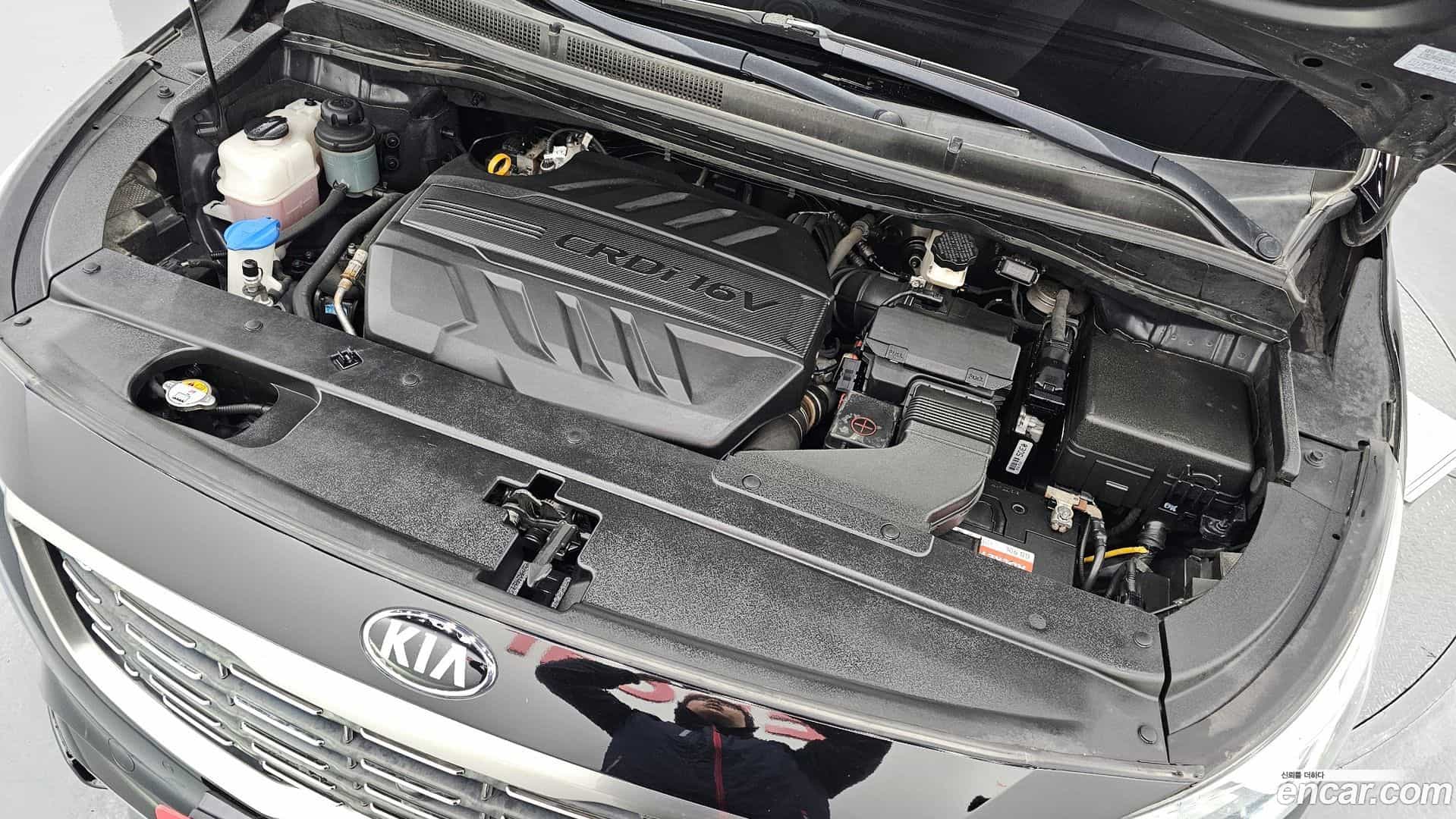 Canival Kia 2019.4-INNER-006