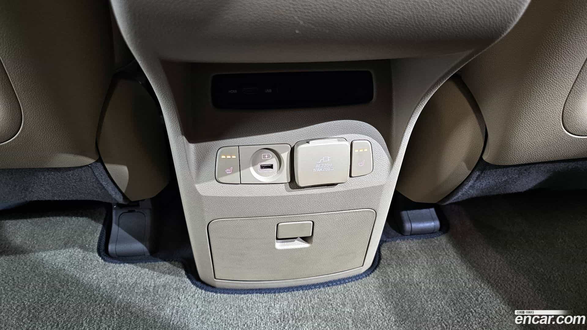 Canival Kia 2019.4-OPTION-021